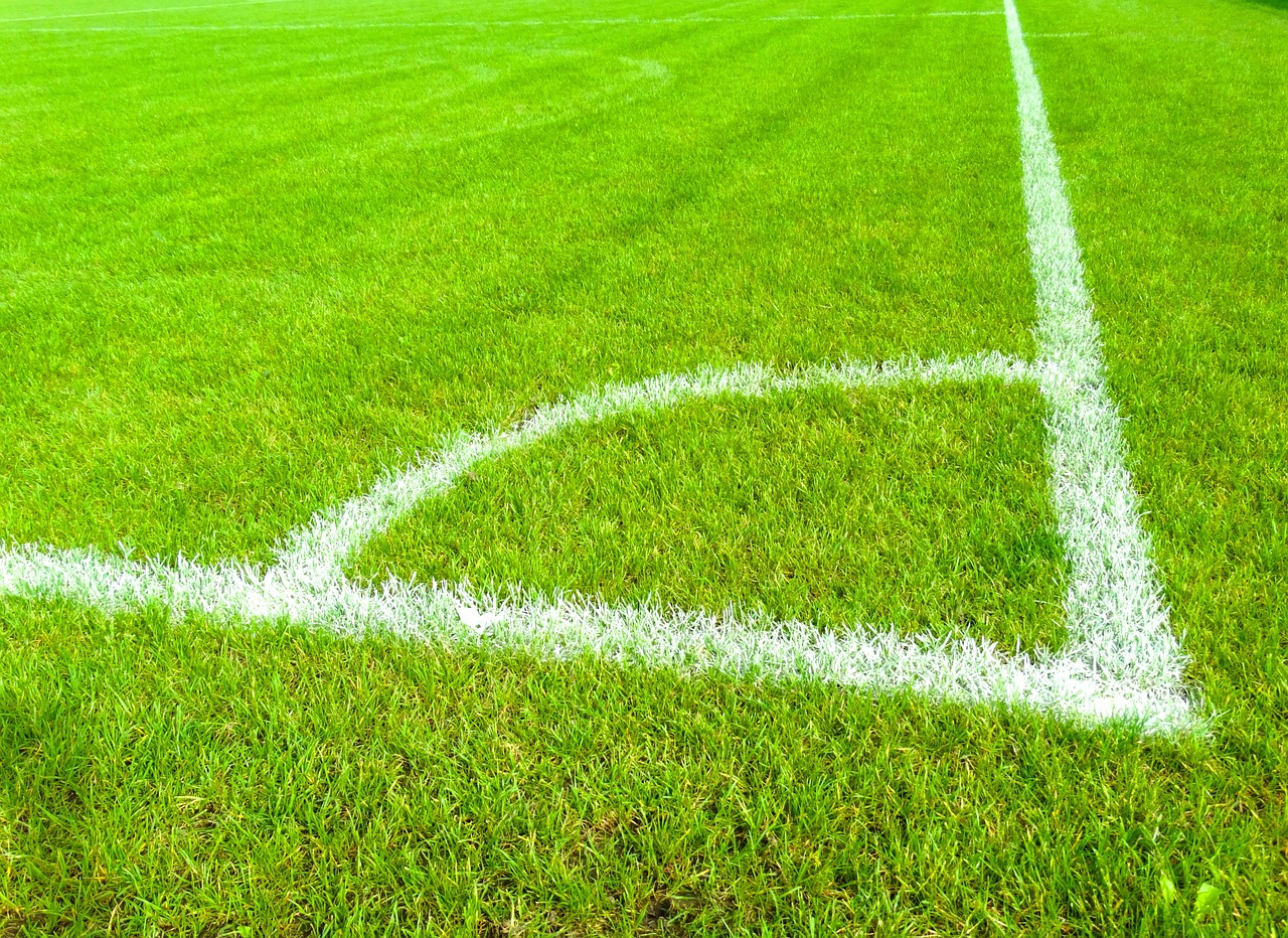 网球联合杯
