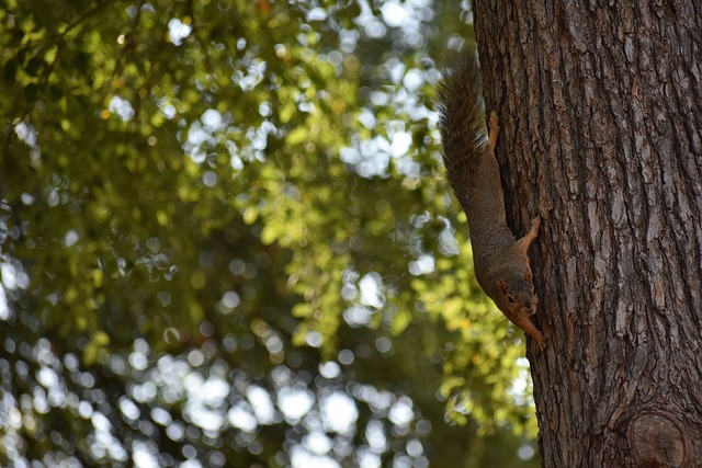 追逐希望 追逐希望