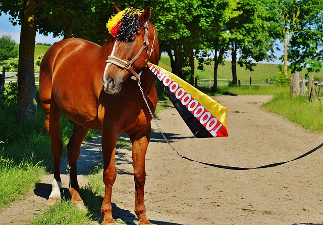 仅依靠当前 仅依靠当前