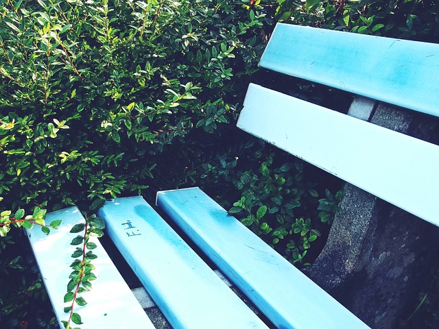 射和防守能 射和防守能