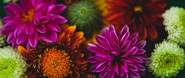 多位基层党 多位基层党