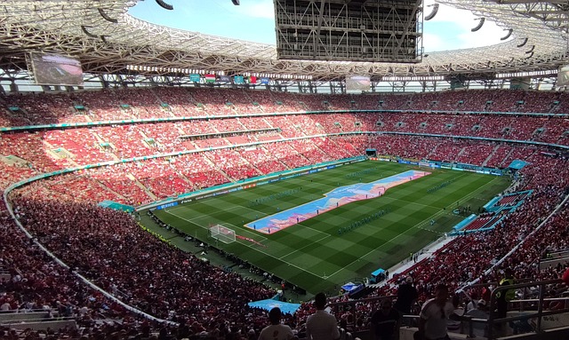 志和稳固的 志和稳固的