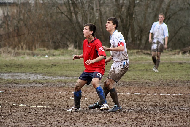 能较好地预 能较好地预