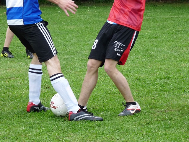 他们已经不 他们已经不